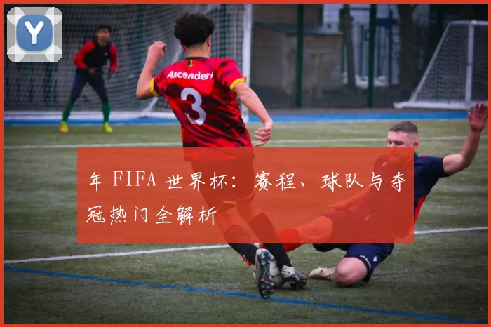 年 FIFA 世界杯:赛程、球队与夺冠热门全解析