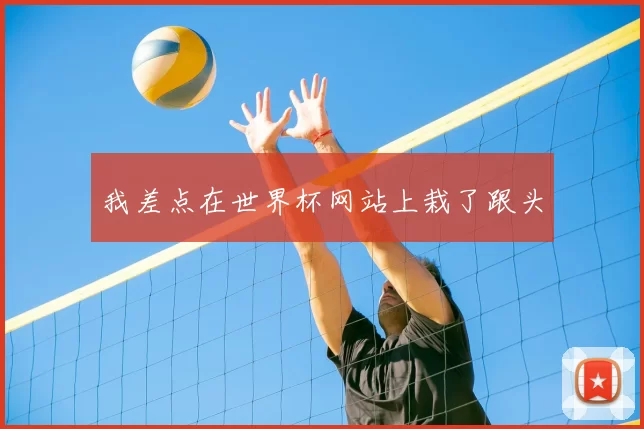 我差点在世界杯网站上栽了跟头