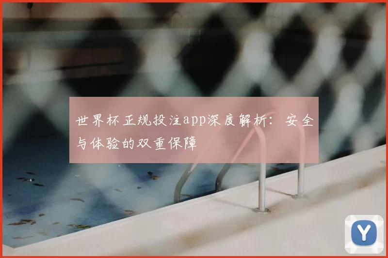 世界杯正规投注app深度解析:安全与体验的双重保障