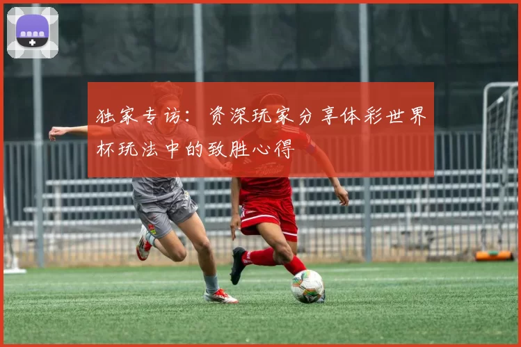 独家专访：资深玩家分享体彩世界杯玩法中的致胜心得