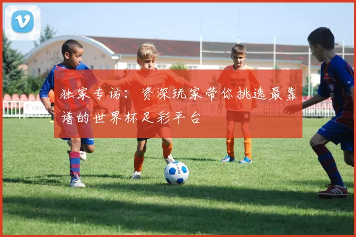 独家专访：资深玩家带你挑选最靠谱的世界杯足彩平台