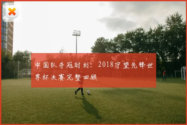 中国队夺冠时刻：2018守望先锋世界杯决赛完整回顾