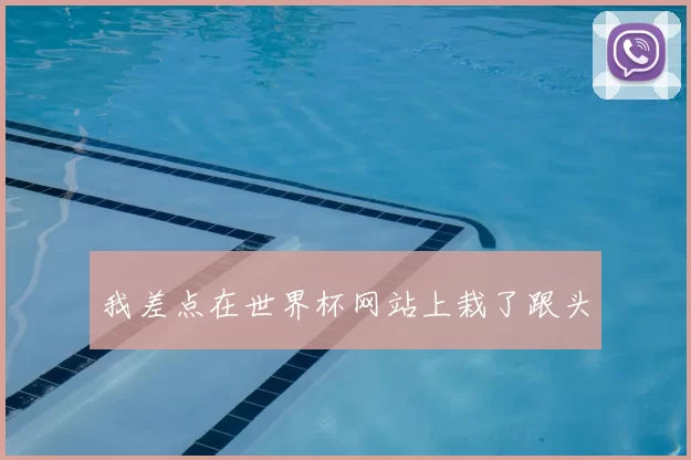 我差点在世界杯网站上栽了跟头