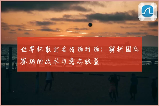 世界杯散打名将面对面:解析国际赛场的战术与意志较量